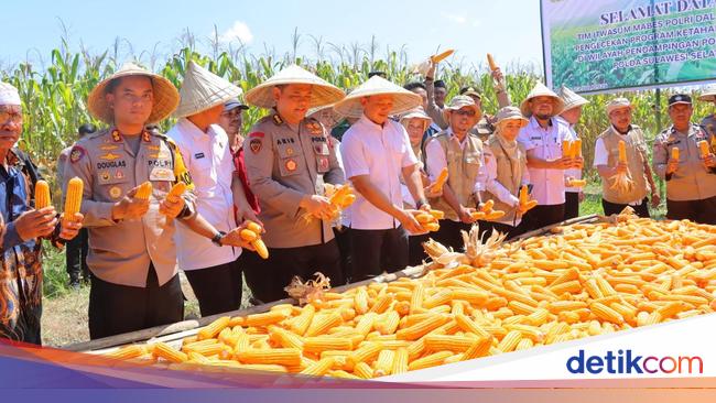 Itwasum Polri Kawal Panen 32 Ton Jagung di Maros