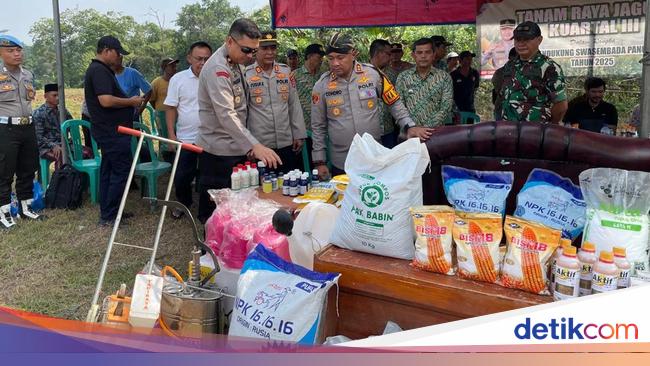 Polres Serang Panen 845 Ton Jagung hingga Kuartal II 2025