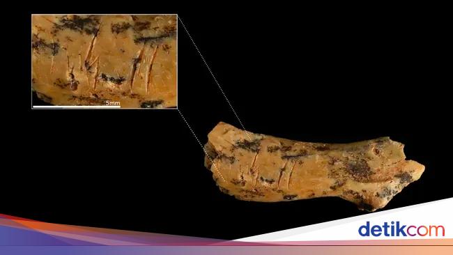 Tulang Leher Purba, Bukti Ngeri Manusia Kanibal Makan Balita