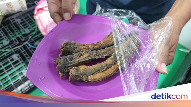 Viral MBG di SMK Muntilan Berbelatung, Kepsek Bilang Perlu Evaluasi