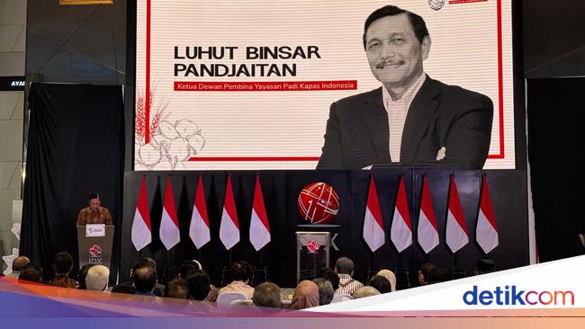 Luhut: Thailand-Kamboja Perang Tembakan, Kita Malah Ribut Nggak Pakai Akal Sehat