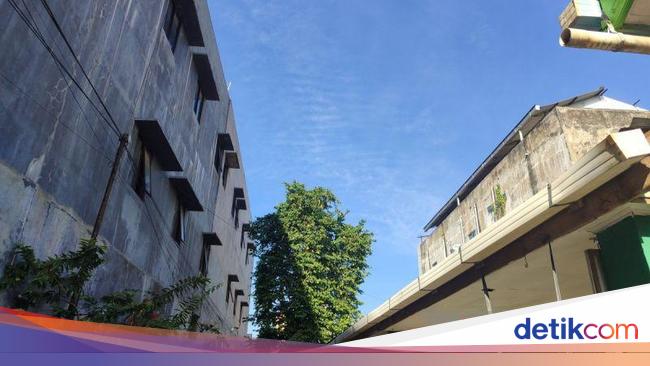 Bengkulu Diselimuti Kabut, BMKG Ungkap Penyebabnya