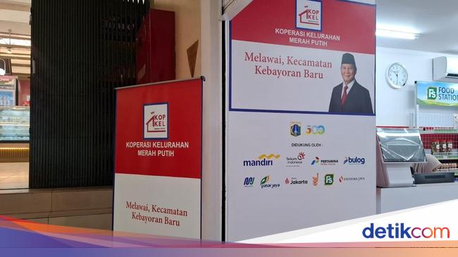 Cerita Pengurus Usai Koperasi Merah Putih Diluncurkan