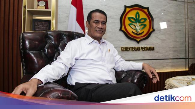 Mentan Pede RI Swasembada Beras Tahun Ini
