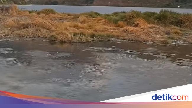 Air Danau Toba Viral Disebut Mendidih, Dinas LH: Air Keruh
