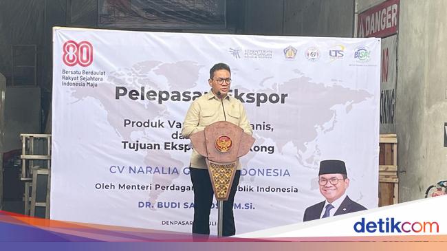 Perluas Pasar Ekspor, RI Incar Amerika Latin dan Afrika