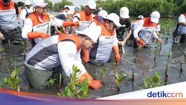 Tumbuhkan Cinta Lingkungan, Pertamina Ajak Siswa SD Tanam Mangrove