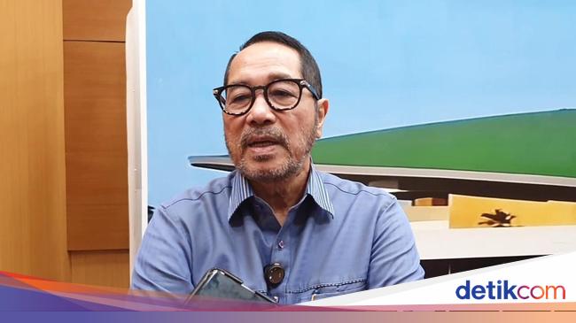 Legislator Heran Bendera One Piece Viral Dikibarkan Jelang 17-an: Apa Motivasinya?