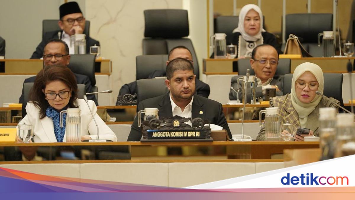 Rajiv Soroti Temuan Anggur Hijau Terkontaminasi Sianida di Menu MBG