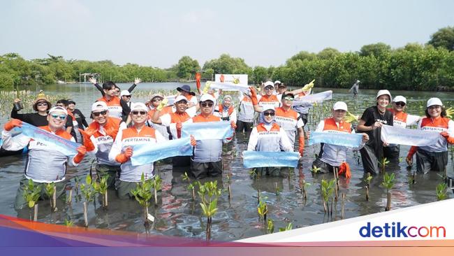 Pertamina International Shipping Gandeng KLH-Siswa Tanam 20.000 Mangrove