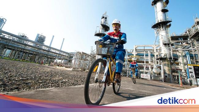 Kebut Agenda NZE, Pertamina Bentuk Direktorat Khusus Tangani Dekarbonisasi