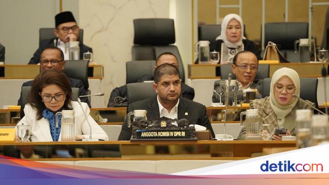 Legislator Rajiv Minta Penanganan Karhutla Serius dari Hulu ke Hilir
