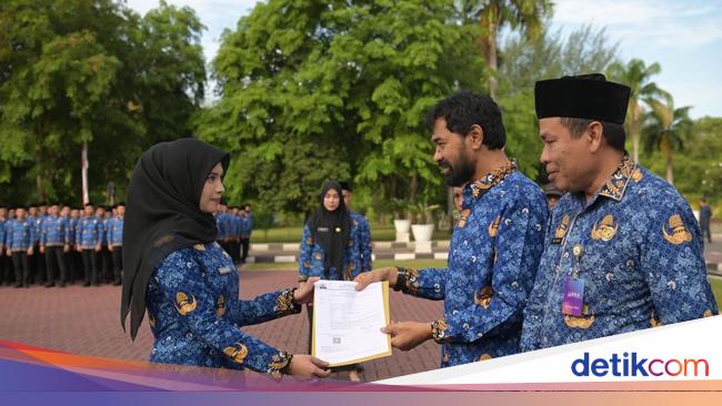 Pegawai Pemerintah dengan Perjanjian Kerja (PPPK) Paruh Waktu