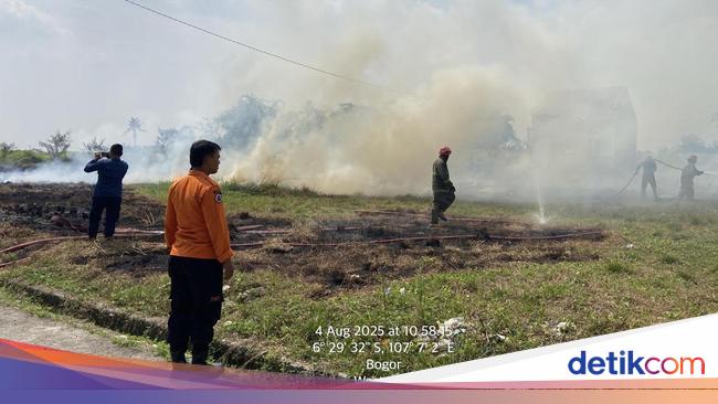 Lahan di Cariu Bogor Terbakar, Dipicu Warga Bakar Rumput