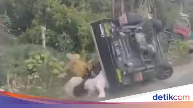 Viral Pikap Rombongan Emak-emak di Gowa Sulsel Ugal-ugalan Hingga Terbalik