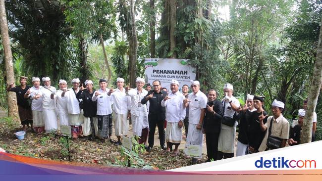Perhutanan Sosial Pertamina, Jaga Lingkungan dan Tingkatkan Kesejahteraan