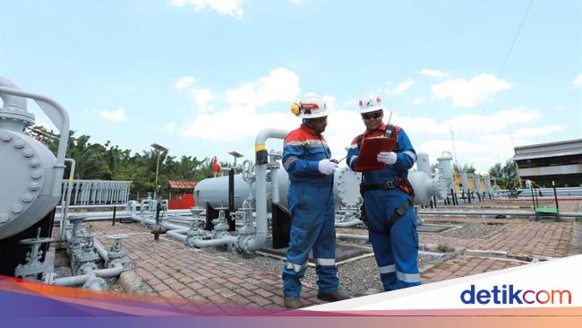 Semester I 2025, Produksi PHE Capai 1,04 Juta Barel Setara Minyak Per Hari