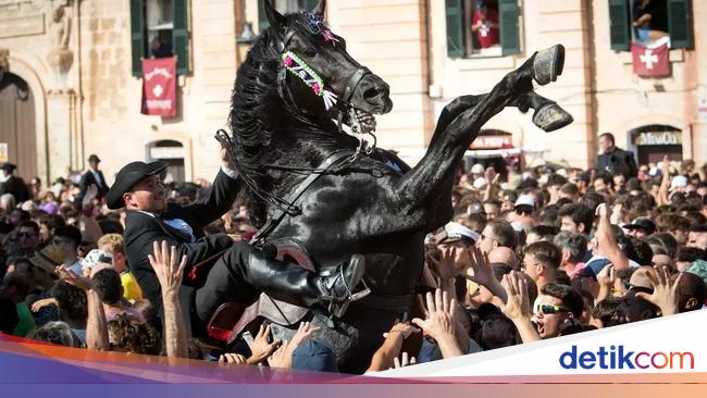 Aduh, Turis Kehilangan Jari gegara Digigit Kuda