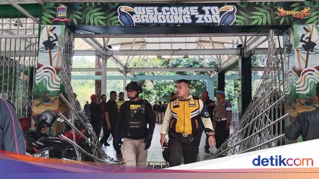Bandung Zoo Ditutup, Muncul Massa Paksa Masuk hingga Jebol Gerbang Lobi