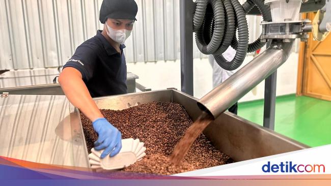 Kopi Sachet Juga Dibuat dari Biji Kopi Pilihan, Begini Prosesnya