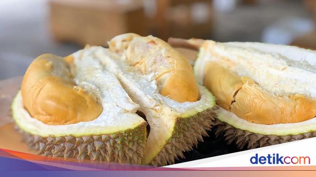 Duh! Penyanyi Ini Terserang Stroke gegara Kalap Makan 7 Durian