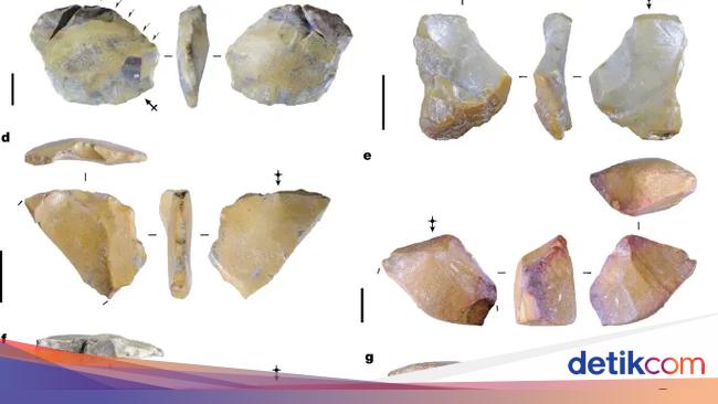 Jejak Manusia Purba Berusia 1,5 Juta Tahun Ditemukan di Sulawesi Selatan