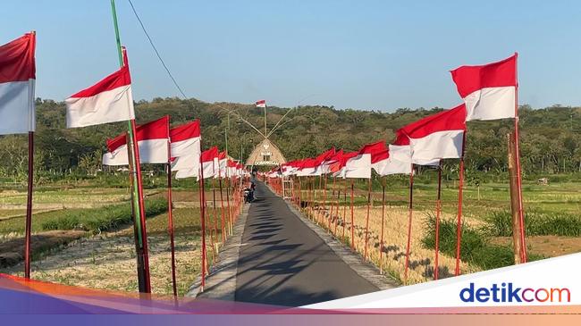 Penampakan Sawah Seribu Bendera di Kulon Progo