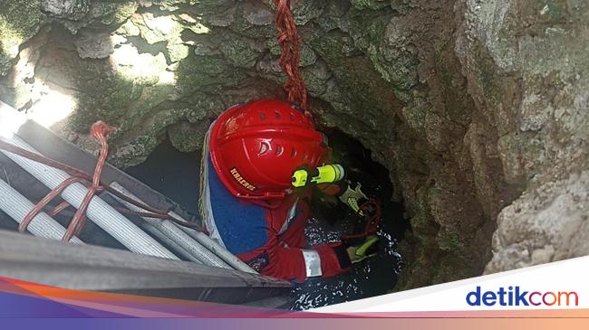 2 Ekor Kambing Warga di Kepulauan Seribu Nyebur Sumur, Damkar Evakuasi