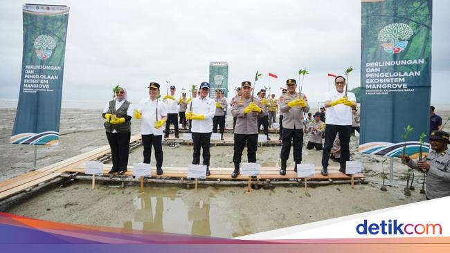Kapolri hingga Menteri LH Tanam Mangrove di Kalbar, Dukung Upaya Pelestarian Lingkungan