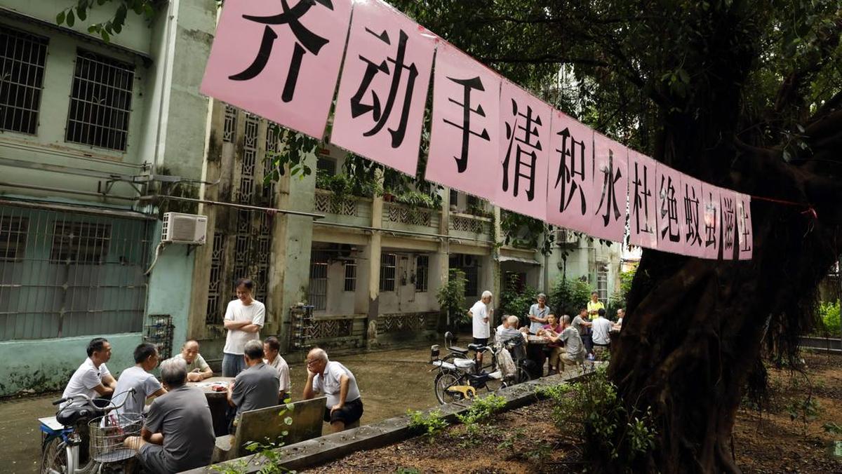 Situasi China yang Dilanda Wabah Chikungunya, Kasusnya Tembus 7 Ribu