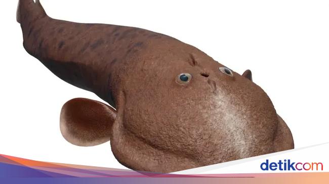 Ikan Aneh Perpaduan Kecebong, Kepiting, dan Siput Bisa Ubah Sejarah Evolusi