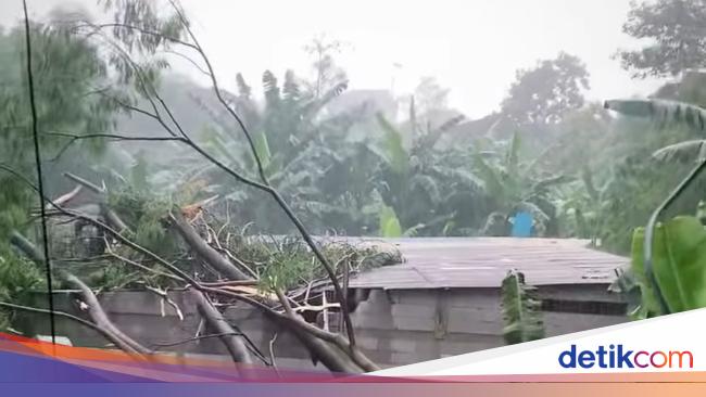 Pohon Timpa Gudang hingga Rusak di Bekasi, Sejumlah Karyawan Terluka