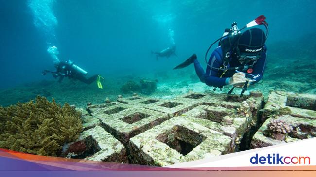Jurus Harita Nickel Kebut Restorasi Terumbu Karang di Pulau Obi