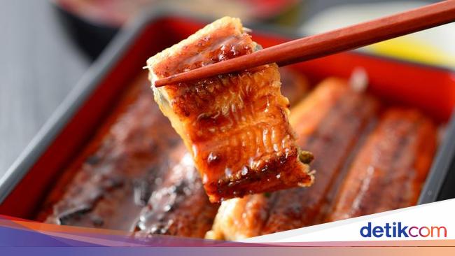 Unagi Khas Jepang Ternyata Bukan Belut, Ini Faktanya