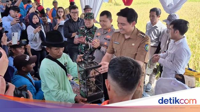 Pasukan Sahabat Tani, Kisah Ular Penjaga Sawah, Diinisiasi Bupati Lucky Hakim