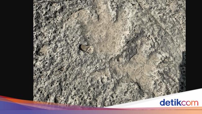 Banjir Bandang Ungkap Jejak Dinosaurus Berusia 115 Juta Tahun