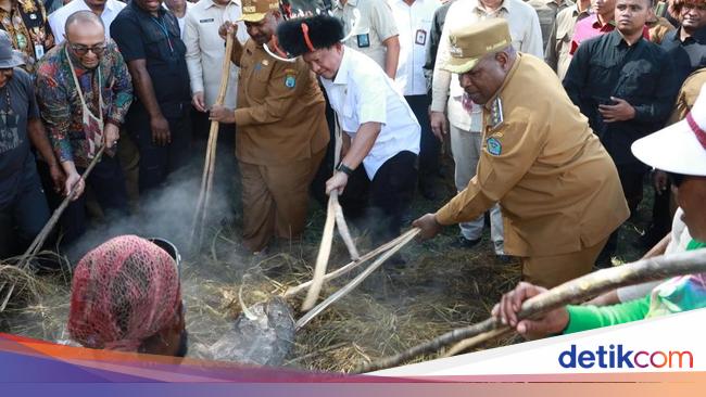 Momen Mendagri Buka Acara Bakar Batu saat Kunjungan ke Papua Pegunungan