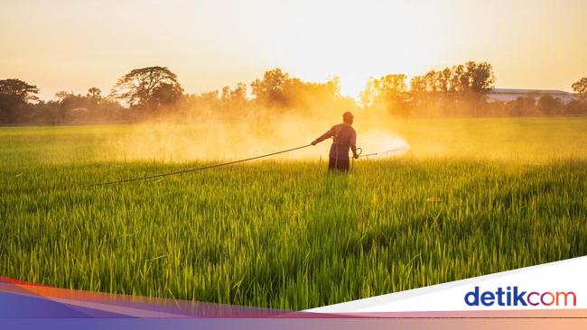 Pegadaian Genjot Ekonomi Masyarakat Lewat Program Pertanian Terpadu