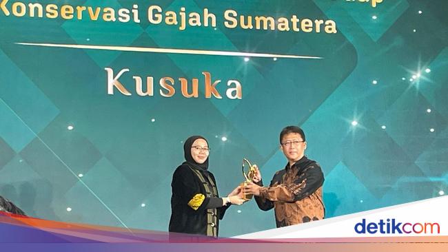 Kusuka Gelar Program Konservasi Gajah Sumatera