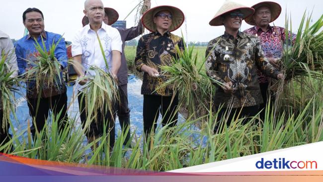Mendes Yandri Puji Kolaborasi Kejaksaan-Petani Wujudkan Swasembada Pangan