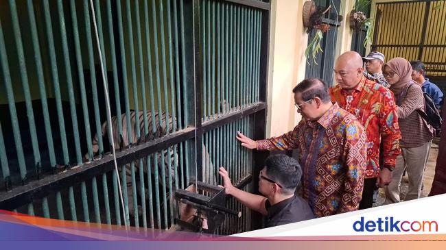 Pramono Punya Harimau di Ragunan: Kalau Bukan Gubernur Bingung Taruh di Mana