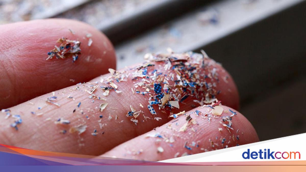 Riset ECOTON Ungkap Mikroplastik di Udara 18 Daerah, Ini Daftarnya