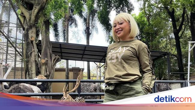 Mengenang Mpok Alpa: Berawal Celetukan 'Ajak ke Mal' Viral hingga Karier Moncer
