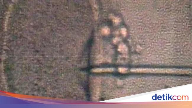 Bayi-bayi di Inggris Lahir dari 3 Orangtua