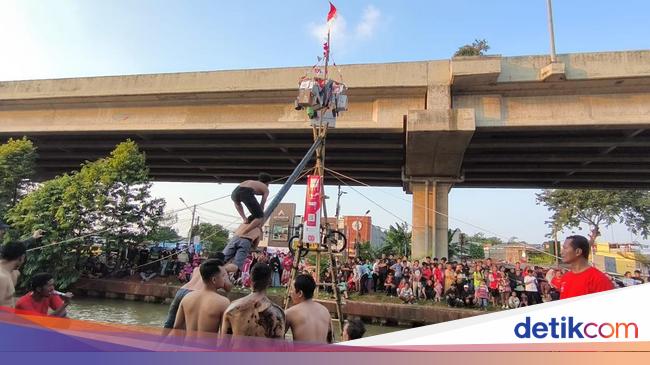 Menantang! Momen Lomba Panjat Pinang yang Jadi Primadona di Kalimalang