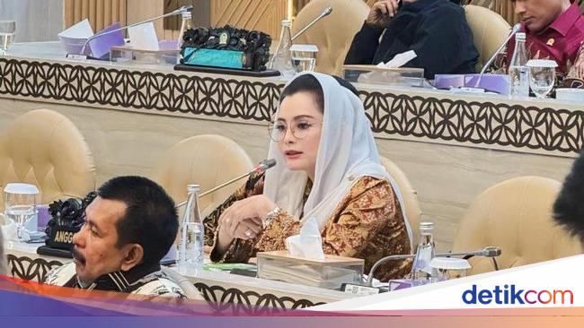 Anggota DPR Novita Wijayanti Puji Sinergi BMKG-Basarnas Tangani Gempa Poso