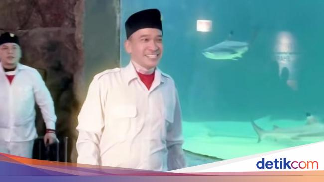 Ruben Onsu Kibarkan Bendera Merah Putih di Akuarium Raksasa Berisi Hiu