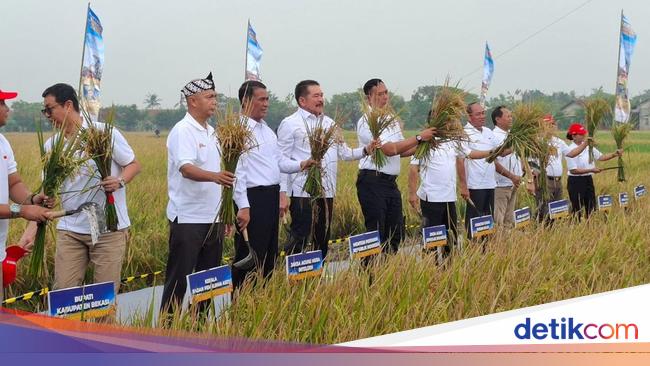 Lahan Sitaan Benny Tjokro Digarap Jadi Sawah, Bisa Hasilkan 2.640 Ton Gabah
