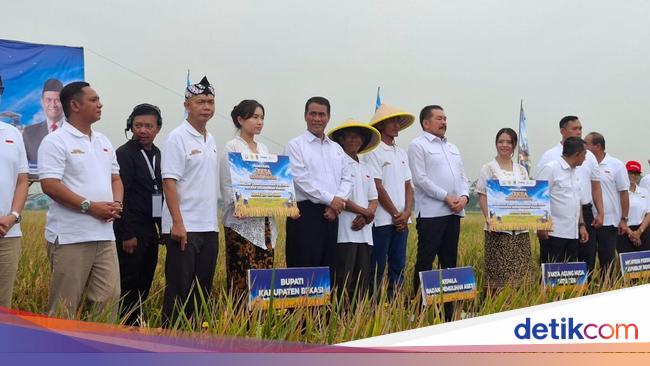 Lahan Sitaan Benny Tjokro Bakal Hasilkan 2.640 Ton Gabah