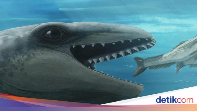 Ilmuwan Temukan Spesies Paus Purba, Tampangnya Mirip Pokemon